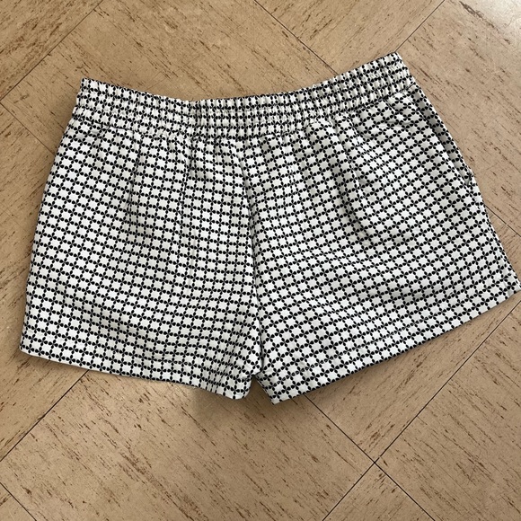 NWT Francesca’s shorts, size large - Picture 2 of 4